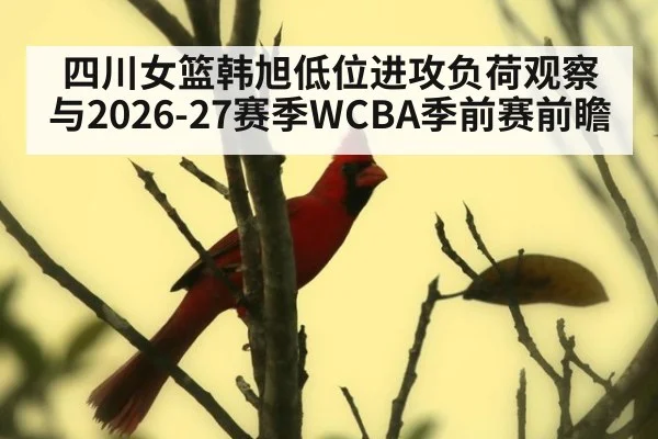 四川女篮韩旭低位进攻负荷观察与2026-27赛季WCBA季前赛前瞻（jiuyou game）